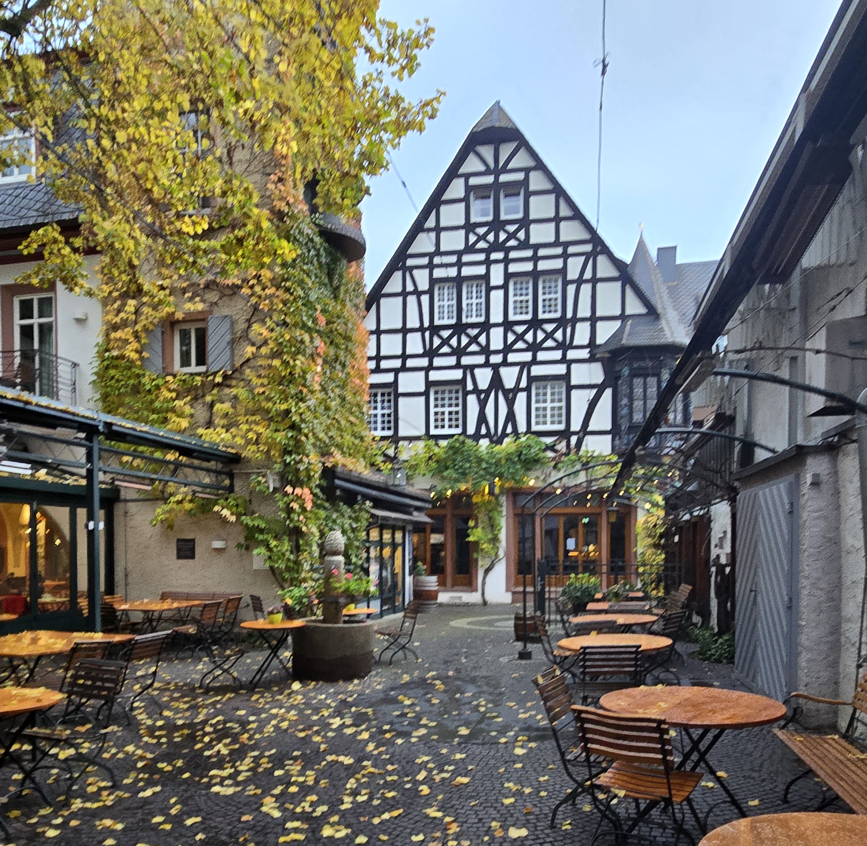 Amsterdam’s Locks through the Rhine Gorge to Rüdesheim’s Magic Music box – our adventure becomes breathtaking