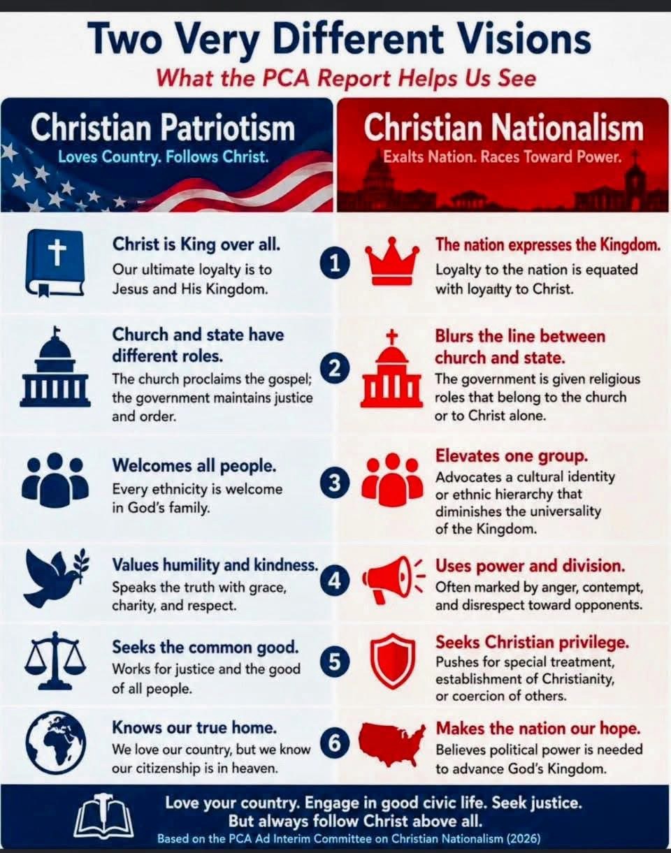 Patriotism or Nationalism? The Line the Report Actually Draws